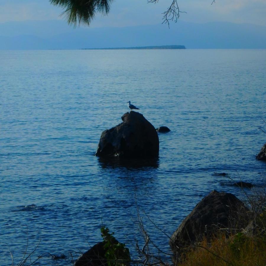 Villa Rodanthos เปอร์ดิกา ภายนอก รูปภาพ