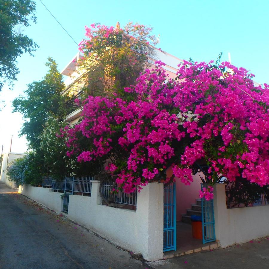 Villa Rodanthos เปอร์ดิกา ภายนอก รูปภาพ